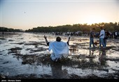 بازگشایی  آب زاینده رود