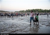 بازگشایی  آب زاینده رود