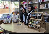 افتتاح پیشخوان مهارت و فروشگاه کارافن در البرز