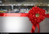 افتتاح پیشخوان مهارت و فروشگاه کارافن در البرز