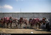 کاروان غدیر در مهمانی کیلومتری غدیر