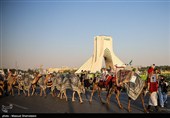 کاروان غدیر در مهمانی کیلومتری غدیر