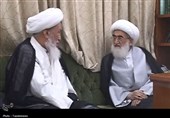 آیت‌الله نوری همدانی ارتحال آیت‌الله فیاض را تسلیت گفت
