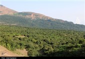دیلمان؛ نگین کوهستان شرق گیلان در انتظار گردشگران