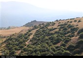 دیلمان؛ نگین کوهستان شرق گیلان در انتظار گردشگران