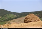 دیلمان؛ نگین کوهستان شرق گیلان در انتظار گردشگران