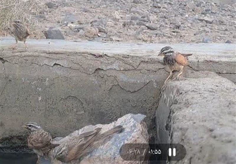 تصویر خبر
