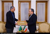 وزیر الداخلیة الباکستانی یلتقی عراقجی فی طهران