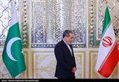 دیدار وزیر کشور پاکستان با عراقچی