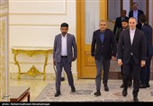 دیدار وزیر کشور پاکستان با عراقچی