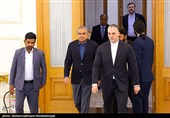 دیدار وزیر کشور پاکستان با عراقچی