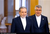 دیدار وزیر کشور پاکستان با عراقچی