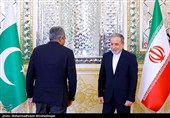 دیدار وزیر کشور پاکستان با عراقچی