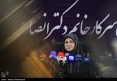 نشست خبری رئیس سازمان حفاظت محیط زیست