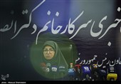 نشست خبری رئیس سازمان حفاظت محیط زیست