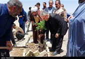 کاشت ۵ اصله نهال سنجد و زیتون تلخ توسط بهروز محبی‌نجم‌آبادی، نماینده مردم سبزوار و حجت‌الاسلام والمسلمین حسنی‌نسب، امام جمعه شهر روداب در محوطه دبستان عشایری شهید آیت‌الله سیدعلی خامنه‌ای، نهال‌هایی که به نیت شهدای والامقام، از جمله شهید حاج قاسم سلیمانی، شهید حاجی‌زاده، شهید تنگسیری و شهید حاج حسین خرازی غرس شدند و برای هرکدام شناسنامه‌ای اختصاصی تهیه شد.