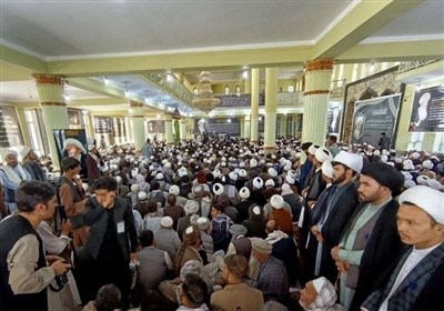 طالبان: آیت‌الله فیاض خواستار وحدت مسلمانان بود