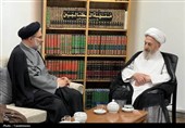 آیت‌الله سبحانی: موقوفات حوزه صرف طلاب و مسائل تبلیغی شود