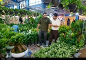 گشایش نمایشگاه تخصصی گل، گیاه، گیاهان دارویی و ماهیان زینتی در شهرکرد