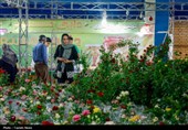گشایش نمایشگاه تخصصی گل، گیاه و گیاهان دارویی در شهرکرد + تصاویر