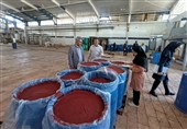 توقف فعالیت یک کارخانه تولید رب گوجه‌فرنگی در کهنوج