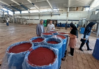 توقف فعالیت یک کارخانه تولید رب گوجه‌فرنگی در کهنوج