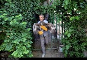 رهاسازی پرندگان شکاری در همدان
