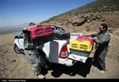 رهاسازی پرندگان شکاری در همدان