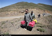 رهاسازی پرندگان شکاری در همدان