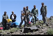 رهاسازی پرندگان شکاری در همدان