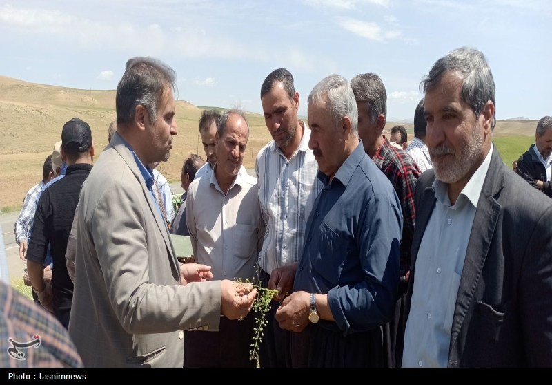 اخبار بیجار , اخبار استان کردستان , کمیسیون کشاورزی مجلس , پرونده "کشاورزی، ناجی اقتصاد" , کشاورزی , ستاد توسعه اقتصاد دانش‌بنیان غذا و کشاورزی , 