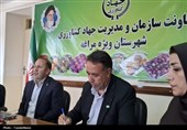 توسعه زیرساخت‌های کشاورزی مراغه؛ از صادرات سیب تا احداث شهرک گلخانه‌ای