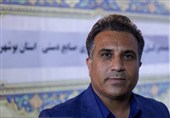 پرداخت 398 میلیارد ریال تسهیلات به هنرمندان صنایع دستی بوشهر