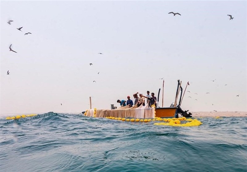 تصویر خبر