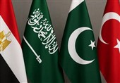 مصر نشست 4 جانبه‌ای با ترکیه، پاکستان و عربستان برگزار می‌کند