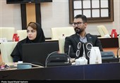 تشکیل شورای گفت‌وگوی دولت و بخش خصوصی بوشهر با حضور معاون وزیر اقتصاد