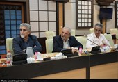 تشکیل شورای گفت‌وگوی دولت و بخش خصوصی بوشهر با حضور معاون وزیر اقتصاد