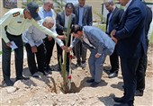 رویکرد تحولی دستگاه قضایی بوشهر؛ صدور «احکام سبز» به جای حبس