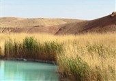 اما و اگرهای تالاب آب‌تلخه لاسجرد؛ خشکسالی پیشروی می‌کند