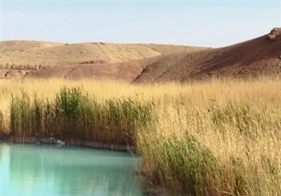اما و اگرهای تالاب آب‌تلخه لاسجرد؛ خشکسالی پیشروی می‌کند