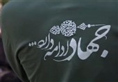 از خودکفایی در خوراک دام تا مطالبه‌گری برای خونخواهی