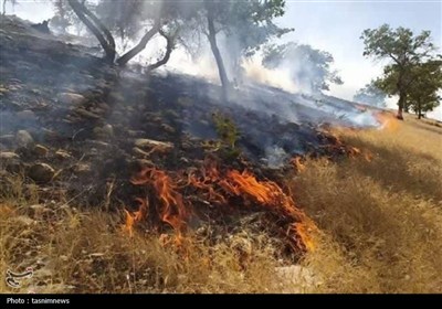 مهار آتش در دیل و دنا پس از ساعت‌ها عملیات نفس‌گیر+تصاویر