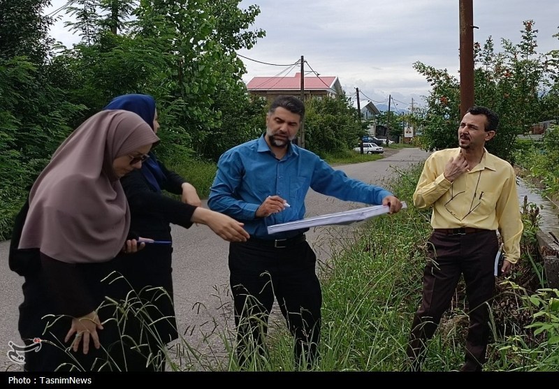 اخبار استان گیلان , کشاورزی , واردات برنج ,