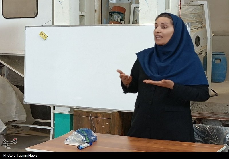اخبار استان گیلان , کشاورزی , واردات برنج ,