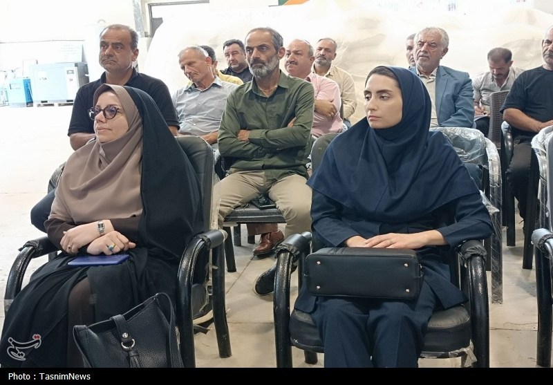اخبار استان گیلان , کشاورزی , واردات برنج ,