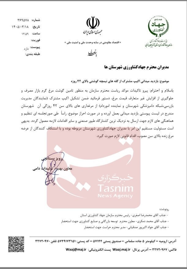 قیمت مرغ , بازار , 