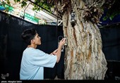 آماده سازی هیئت های مذهبی در آستانه ماه محرم-بجنورد