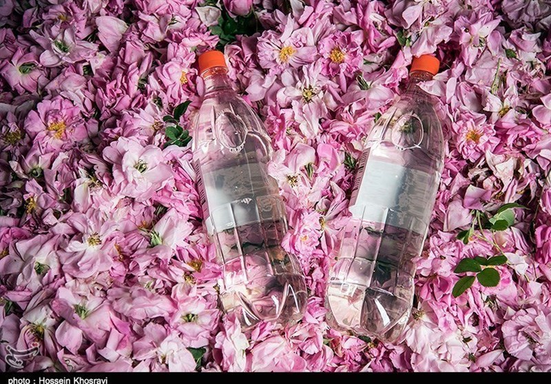 استان لرستان , اخبار استان لرستان ,