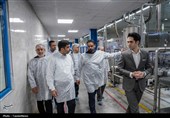 بازدید هیئت بلندپایه اقتصادی از کارخانه‌های صنعتی قزوین