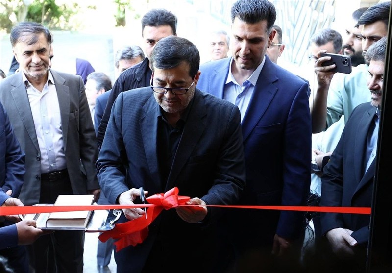 هندبال , فدراسیون هندبال ,